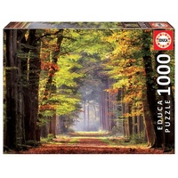 Autumn Walkway (1000 piece) image