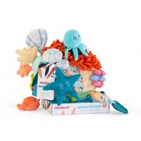 Sensorial Reef image