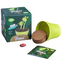 Mrs Greens Magic Beans image