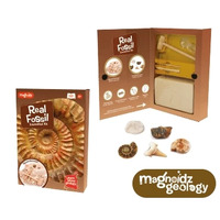 Fossil Dig Kit 25cm image