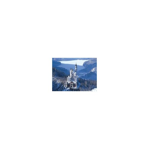 Castle Neuschwanstein (4000 pce)