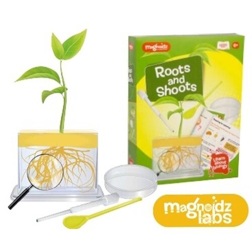 Roots & Shoots Science Kit 23cm