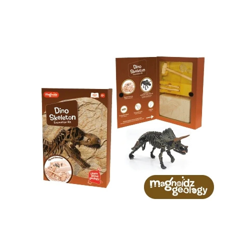 Dino Skeleton Excavation Kit 25cm