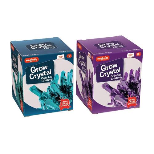 Small Crystal Growing Kit 10cm [Colour: Purple]