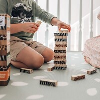 Why Educational Toys Are Important to a Child's Development image